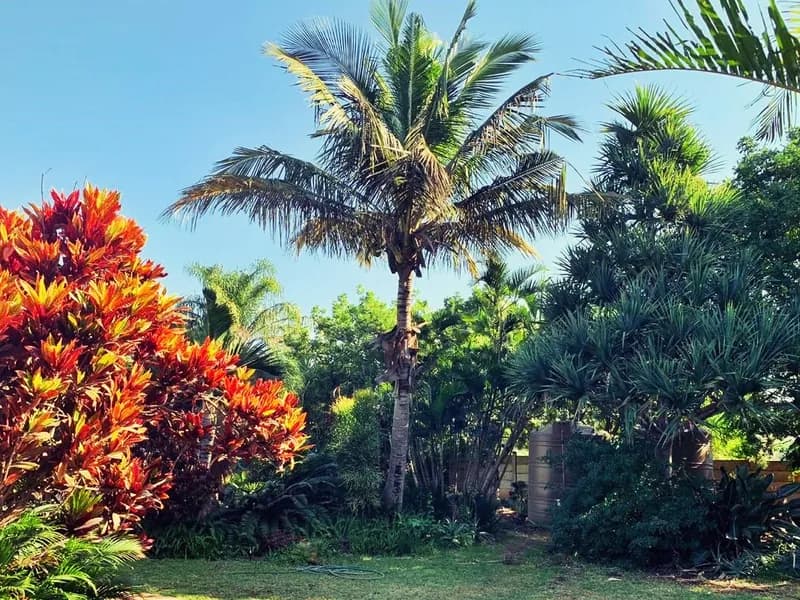 Beautiful garden at The Wilds Guest House Hluhluwe