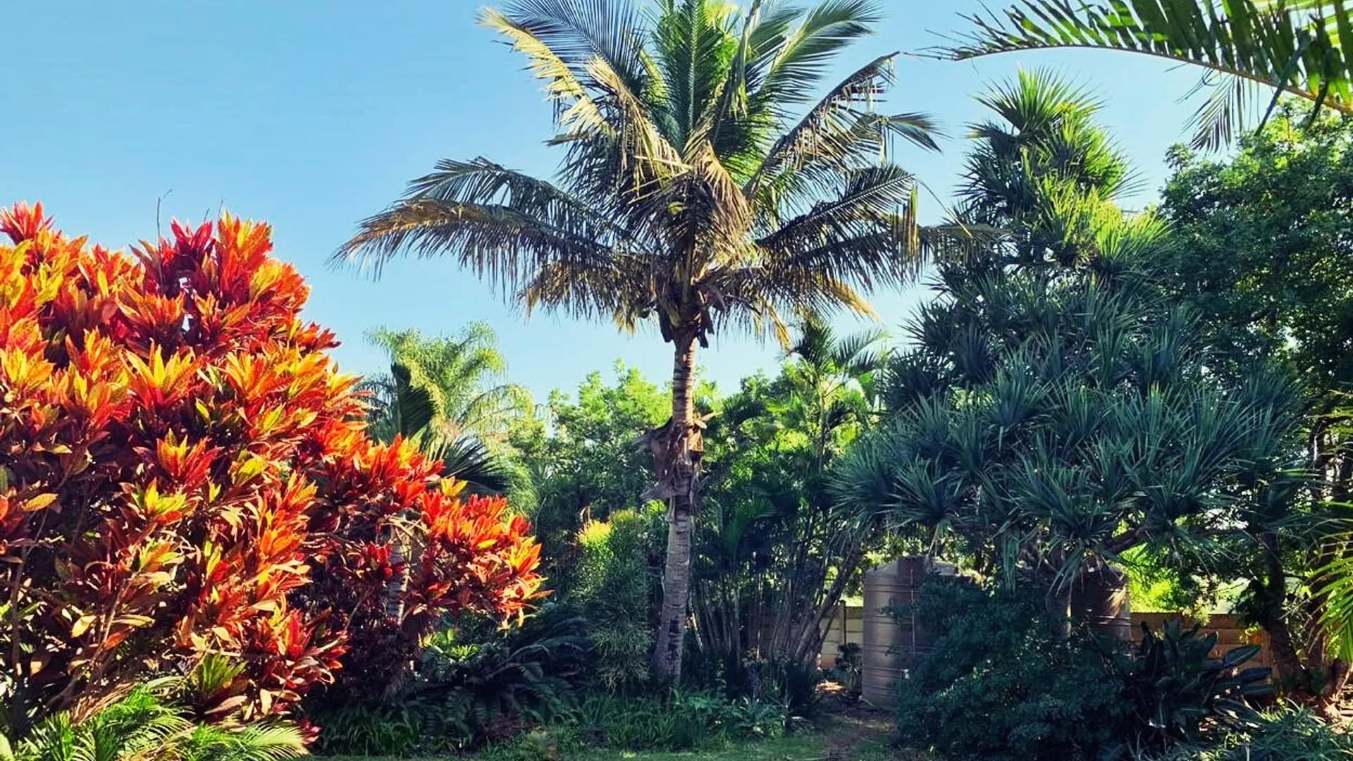 The Wilds Guest House garden in Hluhluwe